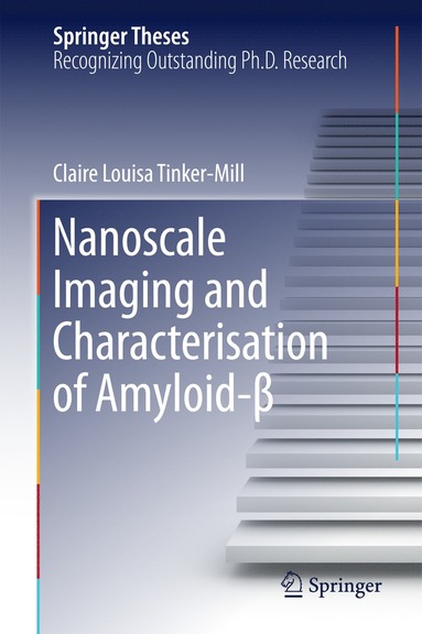 bokomslag Nanoscale Imaging and Characterisation of Amyloid-