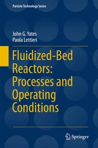 bokomslag Fluidized-Bed Reactors: Processes and Operating Conditions