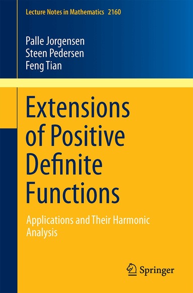 Palle Jorgensen, Steen Pedersen, Feng Tian - Extensions of Positive Definite Functions, Häftad
