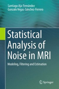 bokomslag Statistical Analysis of Noise in MRI