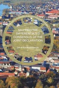 bokomslag Mapping the Differentiated Consensus of the Joint Declaration