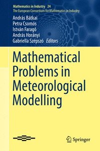 bokomslag Mathematical Problems in Meteorological Modelling