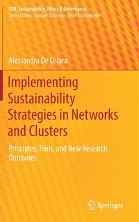 bokomslag Implementing Sustainability Strategies in Networks and Clusters