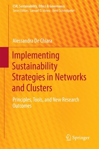 bokomslag Implementing Sustainability Strategies in Networks and Clusters