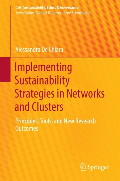 bokomslag Implementing Sustainability Strategies in Networks and Clusters