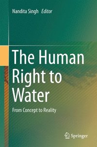 bokomslag The Human Right to Water