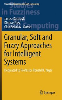 bokomslag Granular, Soft and Fuzzy Approaches for Intelligent Systems