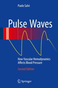 bokomslag Pulse Waves