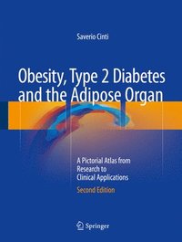 bokomslag Obesity, Type 2 Diabetes and the Adipose Organ