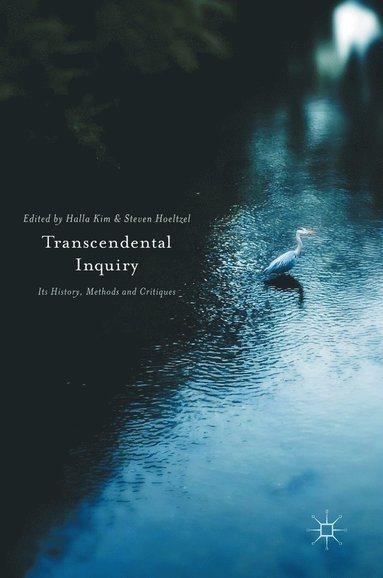 bokomslag Transcendental Inquiry