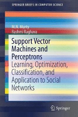 Support Vector Machines and Perceptrons 1
