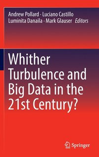 bokomslag Whither Turbulence and Big Data in the 21st Century?