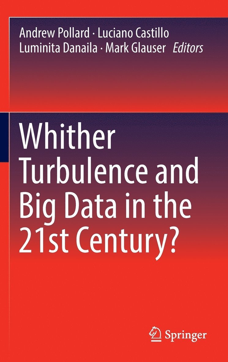 Andrew Pollard, Luciano Castillo, Luminita Danaila, Mark Glauser - Whither Turbulence and Big Data in the 21st Century?, Inbunden