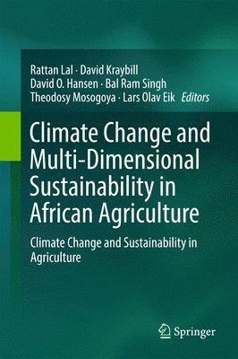 bokomslag Climate Change and Multi-Dimensional Sustainability in African Agriculture