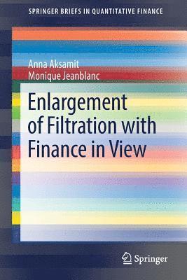 Enlargement of Filtration with Finance in View 1