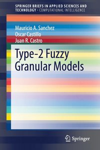 bokomslag Type-2 Fuzzy Granular Models