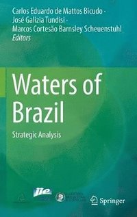 bokomslag Waters of Brazil