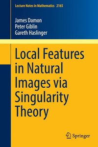 bokomslag Local Features in Natural Images via Singularity Theory