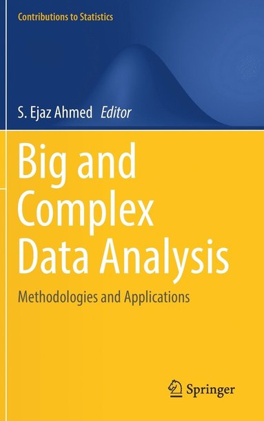 bokomslag Big and Complex Data Analysis