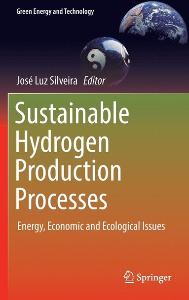 bokomslag Sustainable Hydrogen Production Processes