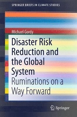 bokomslag Disaster Risk Reduction and the Global System