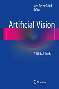 bokomslag Artificial Vision