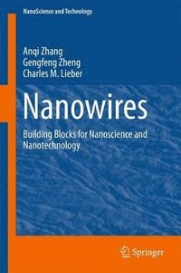 bokomslag Nanowires