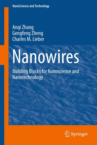 bokomslag Nanowires