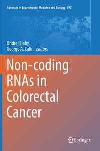 bokomslag Non-coding RNAs in Colorectal Cancer