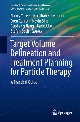 bokomslag Target Volume Delineation and Treatment Planning for Particle Therapy