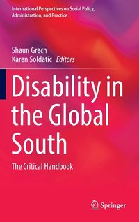 bokomslag Disability in the Global South