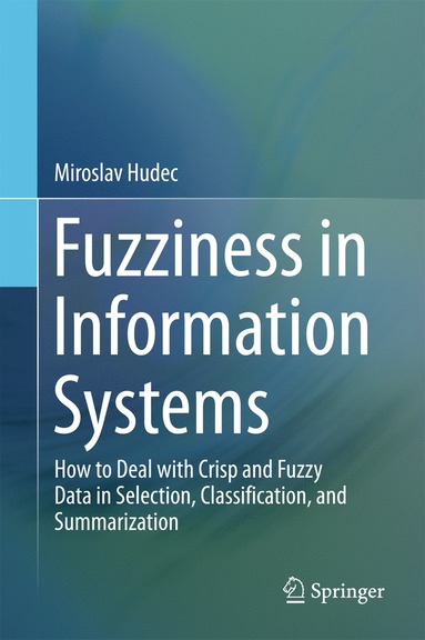 bokomslag Fuzziness in Information Systems