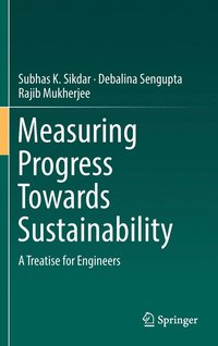 bokomslag Measuring Progress Towards Sustainability