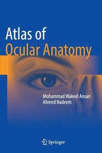 bokomslag Atlas of Ocular Anatomy