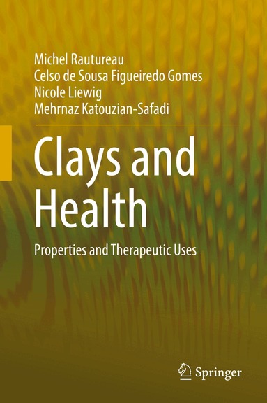 Michel Rautureau, Celso de Sousa Figueiredo Gomes, Nicole Liewig, Mehrnaz Katouzian-Safadi - Clays and Health, Inbunden