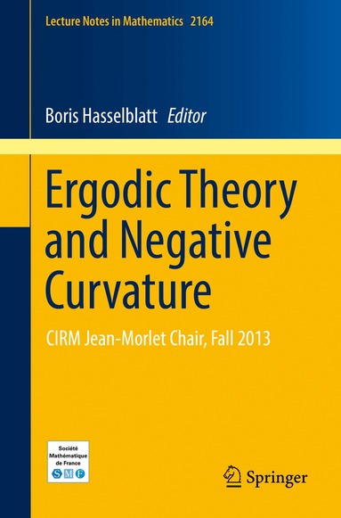 Boris Hasselblatt - Ergodic Theory and Negative Curvature, Häftad