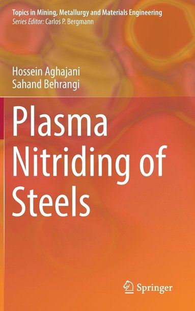 bokomslag Plasma Nitriding of Steels