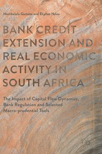 bokomslag Bank Credit Extension and Real Economic Activity in South Africa