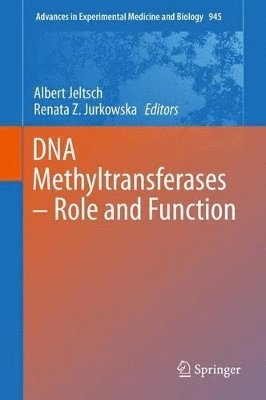 DNA Methyltransferases - Role and Function 1