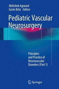bokomslag Pediatric Vascular Neurosurgery