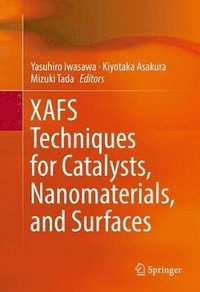 bokomslag XAFS Techniques for Catalysts, Nanomaterials, and Surfaces