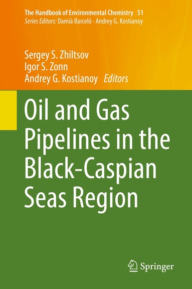 Sergey S. Zhiltsov, Igor S. Zonn, Andrey G. Kostianoy - Oil and Gas Pipelines in the Black-Caspian Seas Region, Inbunden