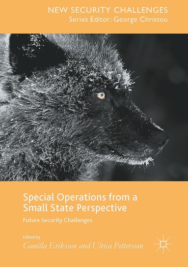 bokomslag Special Operations from a Small State Perspective