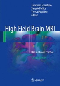 bokomslag High Field Brain MRI