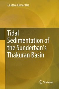 bokomslag Tidal Sedimentation of the Sunderban's Thakuran Basin