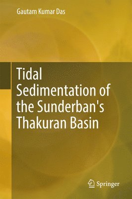 bokomslag Tidal Sedimentation of the Sunderban's Thakuran Basin