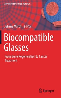 bokomslag Biocompatible Glasses