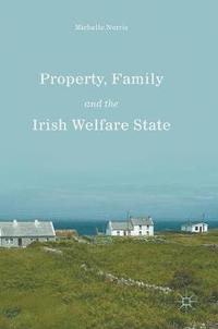 bokomslag Property, Family and the Irish Welfare State