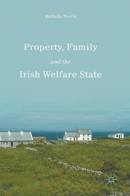 bokomslag Property, Family and the Irish Welfare State