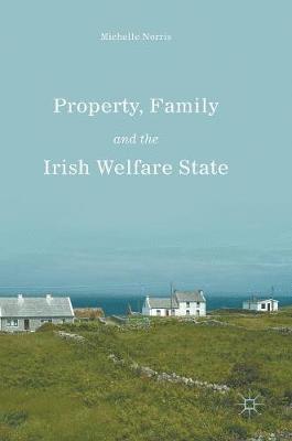 bokomslag Property, Family and the Irish Welfare State